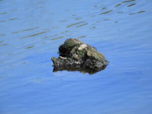Taking things personally